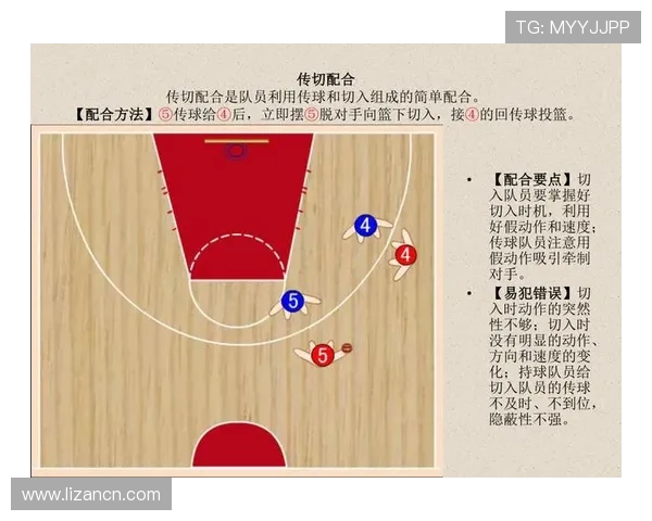 南京篮球队战术解析与未来发展方向的深度探讨