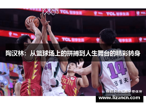 陶汉林：从篮球场上的拼搏到人生舞台的精彩转身